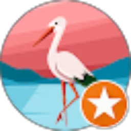 Review From Anna An