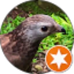 Review From Aidan D. Tanuji