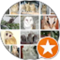 Review From t_0wl