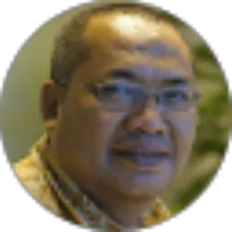Review From Budi Srisantoso