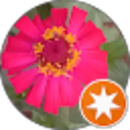 Review From Saripin