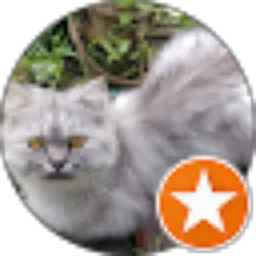 Review From ican choplizs