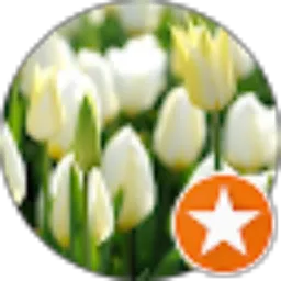 Review From Martha John