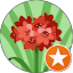 Review From Yanti Desi 德西