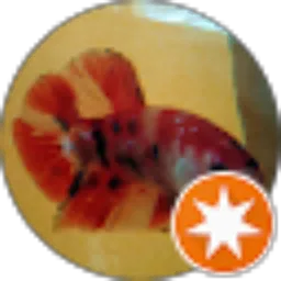 Review From zanuar “Ichax” ichak