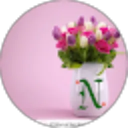 Review From Niswa _96