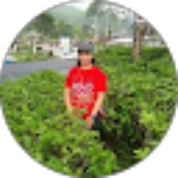 Review From Pittauli Tampubolon