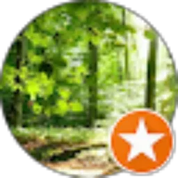 Review From Muhammad Yusuf