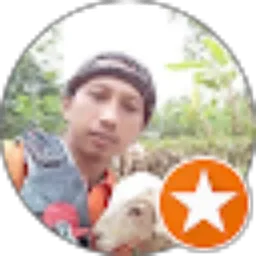 Review From Susanto Wibowo