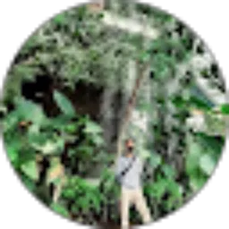 Review From bhojez strez