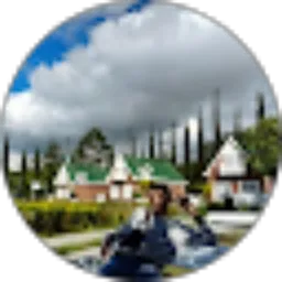 Review From David Wijaya Willington