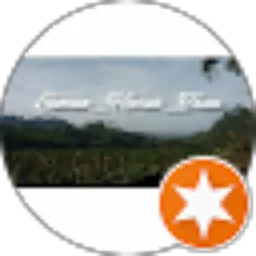 Review From R F