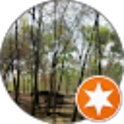 Review From DEA