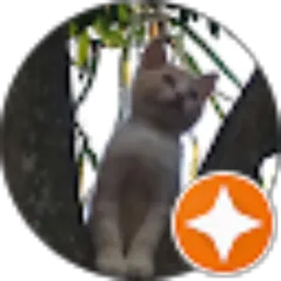 Review From mozza king 78
