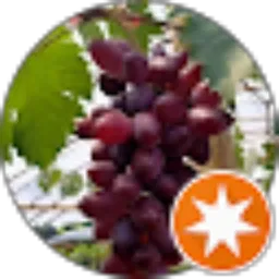 Review From Kebon Bibit Buah