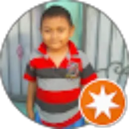 Review From Sultan Maulana