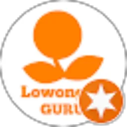 Review From Lowongangurucom