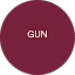 Review From Gun