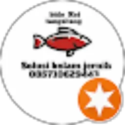 Review From bido koi