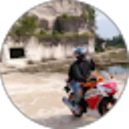 Review From agustin ulandari