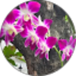 Review From marhawati