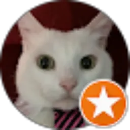 Review From Framid