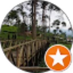 Review From budi mardikun