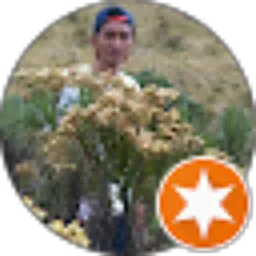 Review From Theean 01