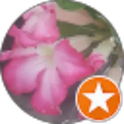 Review From pujiono embo