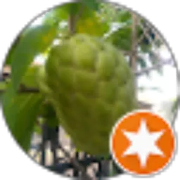Review From Yusro Santoso
