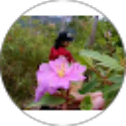 Review From Ribka Lv