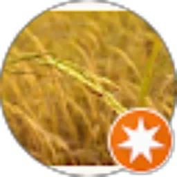 Review From d p'
