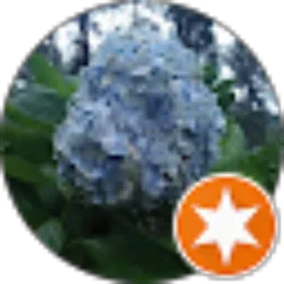 Review From Swandono