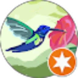 Review From J E