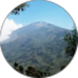 Review From Merbabu 3145