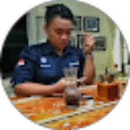 Review From Gis Bomber