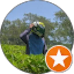 Review From David Dolkem
