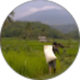 Review From Kang Aswi