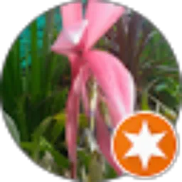 Review From bambang smgl