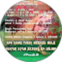 Review From Anton Anton