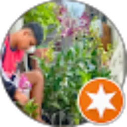 Review From Wahyu Andayani
