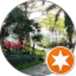 Review From Johanes Soekrisno