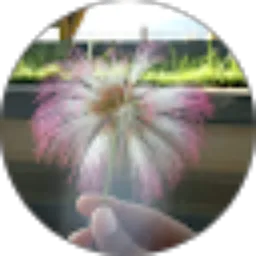 Review From Fardiana Yasim