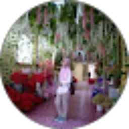 Review From Lestari Dwi
