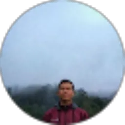 Review From Irwan Pangggabean