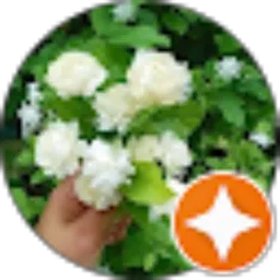 Review From MARIA QIFTIYAH