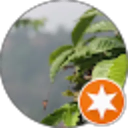 Review From Alyanisa