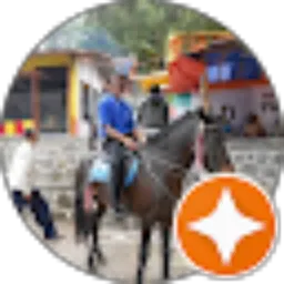 Review From Yoseph Malesy