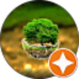 Review From Xipol