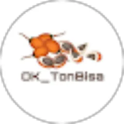 Review From Tpxplay __